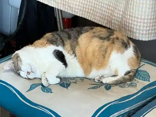 賀茂別雷神社(栃木県)
