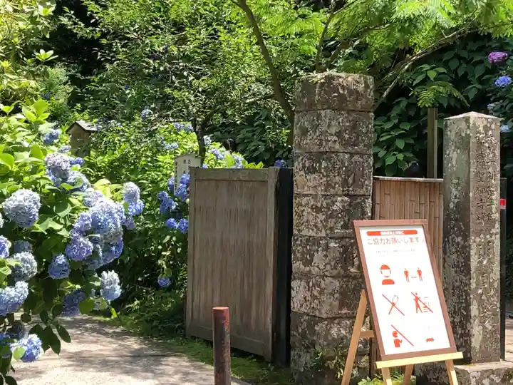 明月院の山門・神門