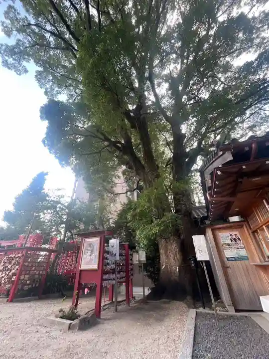 菅生神社(愛知県)