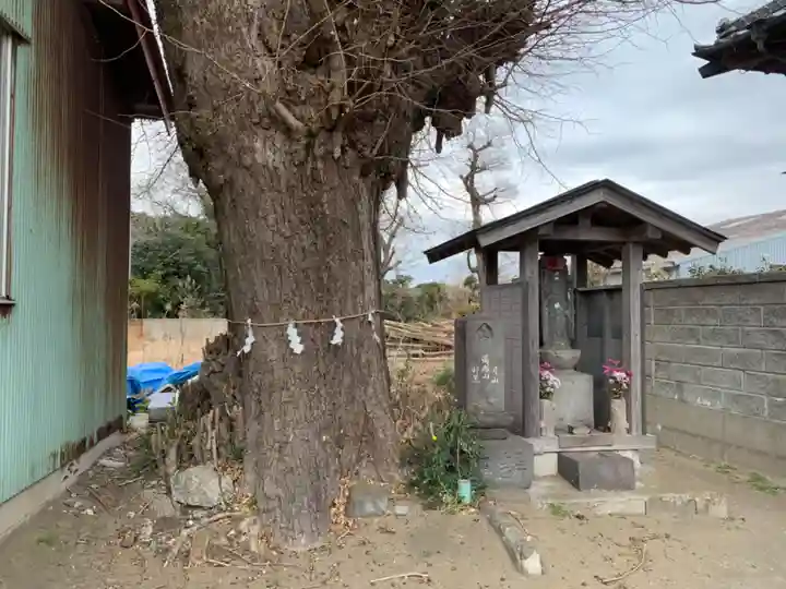 厳島神社の自然