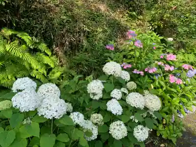 普門寺(切り絵御朱印発祥の寺)の芸術