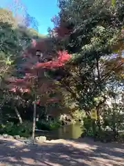 富士山本宮浅間大社(静岡県)