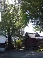 神明神社(上総社)の本殿・本堂