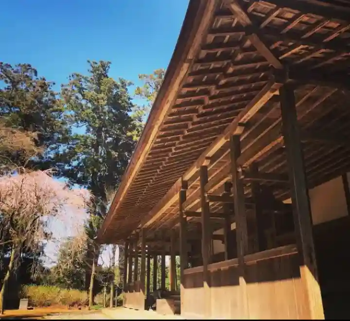 飯高寺(千葉県)