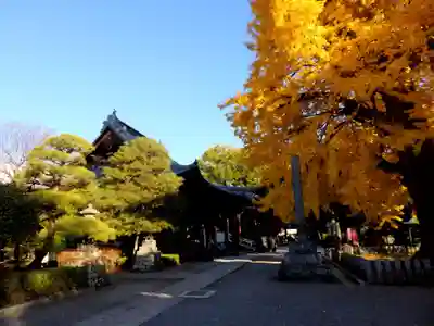 鑁阿寺の本殿・本堂