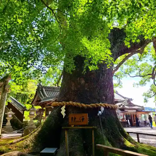 事任八幡宮(静岡県)