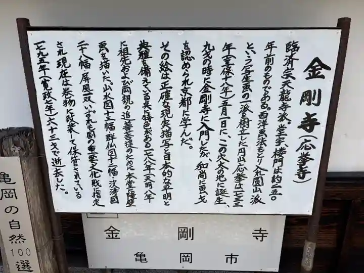 金剛寺(京都府)