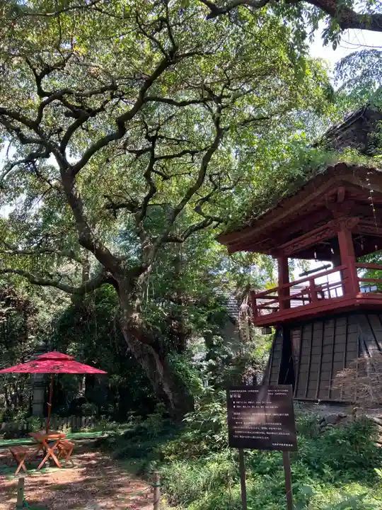 光丸山 法輪寺(栃木県)