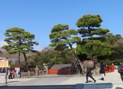 鶴岡八幡宮のその他建物