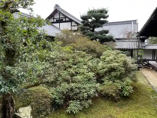 隨心院（随心院）(京都府)