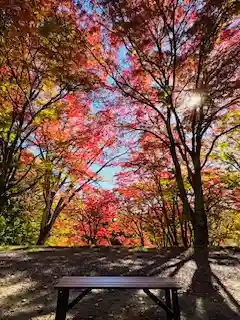 土津神社｜こどもと出世の神さま(福島県)