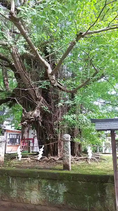 野木神社のその他建物