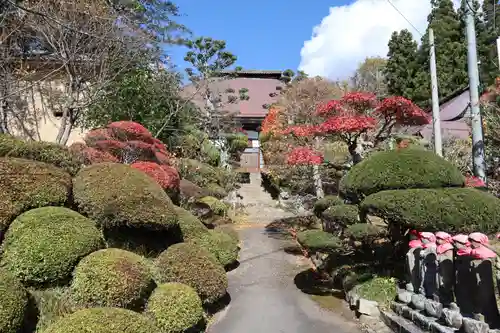 国宝 大法寺の庭園