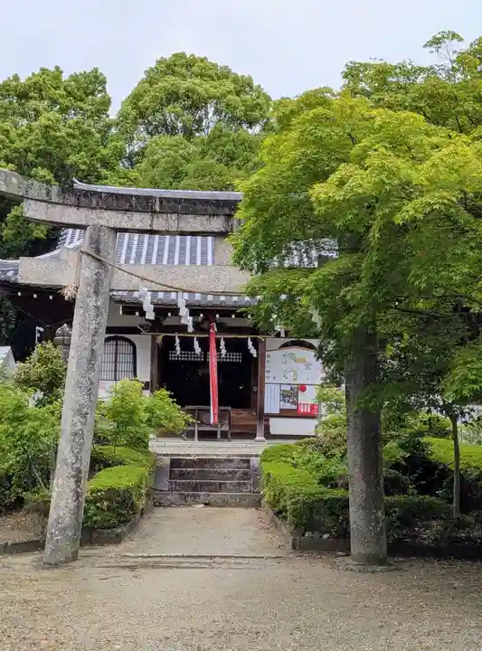壺井八幡宮(大阪府)