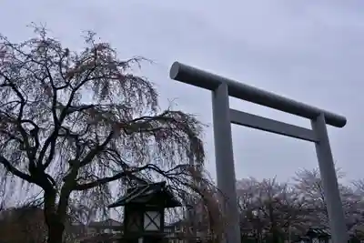 櫻木神社の鳥居