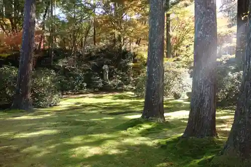 三千院門跡の庭園