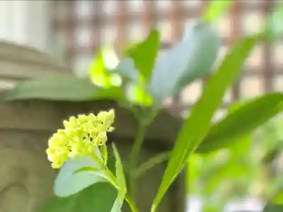 尊勝院(長野県)