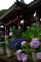 三ヶ根観音（太山寺）(愛知県)