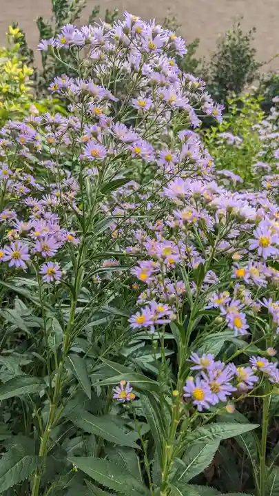 玉田神社(京都府)