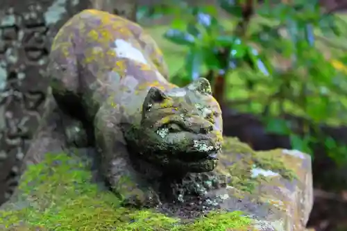 春日神社の狛犬