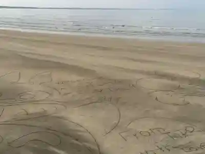 青島神社（青島神宮）(宮崎県)