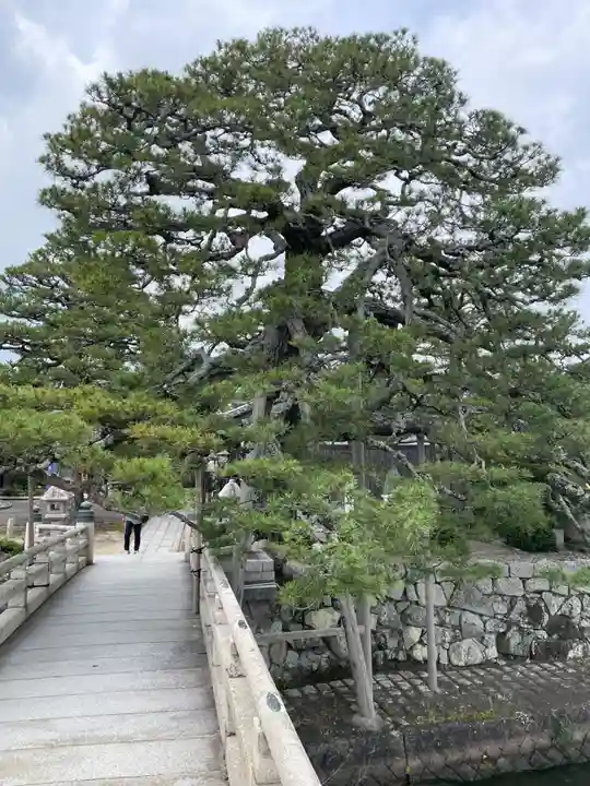 満月寺(浮御堂)(滋賀県)