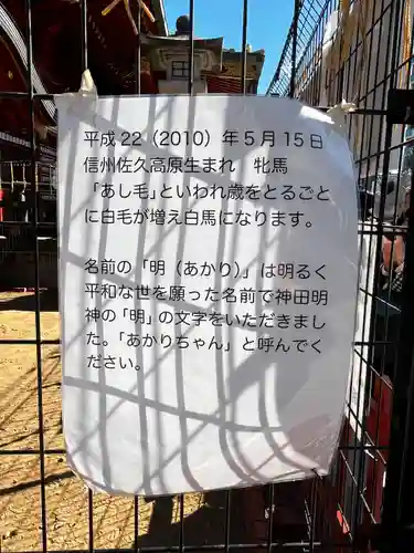 神田神社（神田明神）の動物