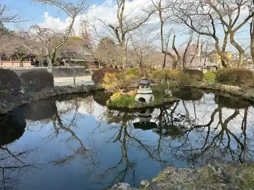 富士山本宮浅間大社(静岡県)