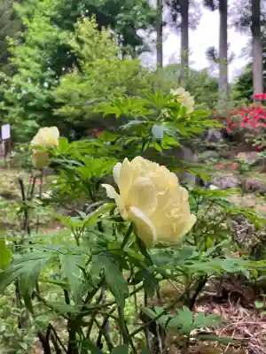 妙雲寺(栃木県)