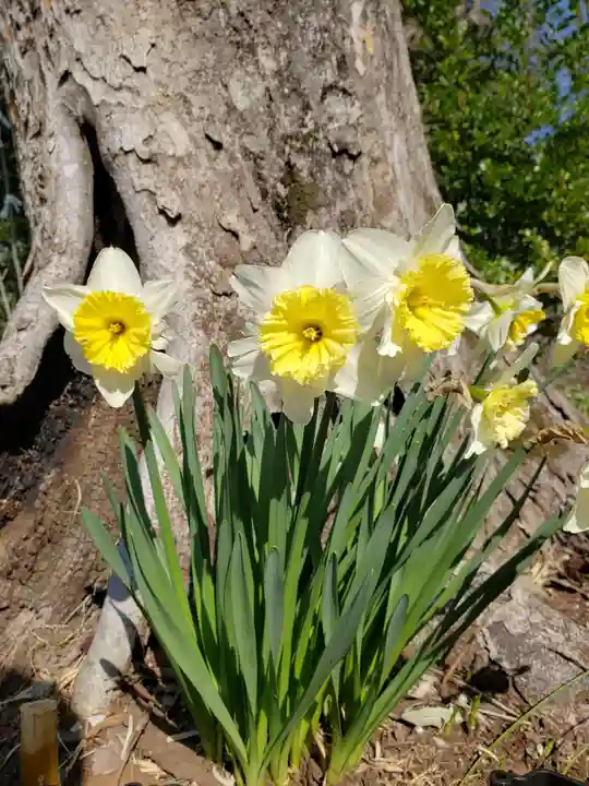 鷺宮八幡神社(東京都)