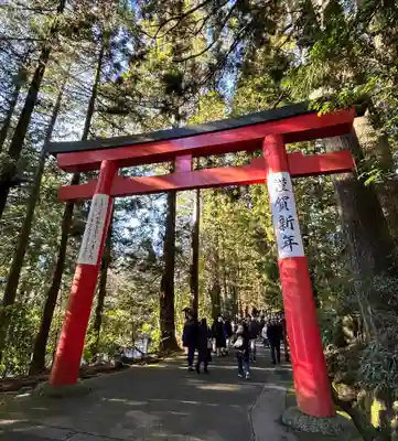 箱根神社(神奈川県)