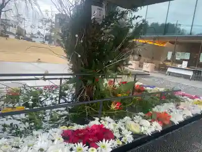 武蔵野坐令和神社の{uncategorized: "未分類", other: "その他", undefined: "問題あり", building: "その他建物", grave: "お墓", sacred_gate: "鳥居", guardian: "狛犬", statue: "像", buddha: "仏像", history: "歴史", nature: "自然", garden: "庭園", animal: "動物", pagoda: "塔", temizu: "手水舎", mountain_gate: "山門・神門", sanctuary: "本殿・本堂", subordinate: "末社・摂社", art: "芸術", scenery: "景色", jizo: "地蔵", ema: "絵馬", goshuin: "御朱印", omikuji: "おみくじ", items: "授与品その他", amulet: "お守り", goshuincho: "御朱印帳", eats: "食事", festival: "お祭り", votive_dance: "神楽", shichigosan: "七五三参", wedding: "結婚式", experience: "体験その他", initially: "初詣", around: "周辺", anti_infection: "感染症対策"}