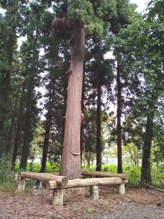 熊野神社(山形県)