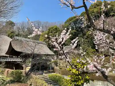 横浜　西方寺(神奈川県)