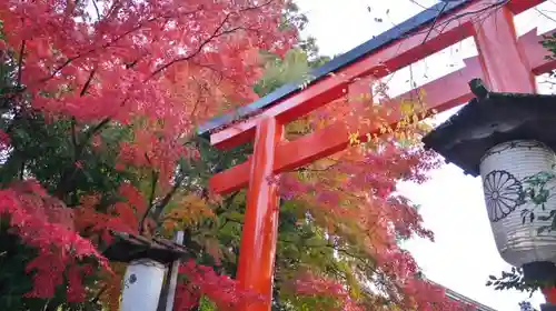 賀茂御祖神社（下鴨神社）の鳥居