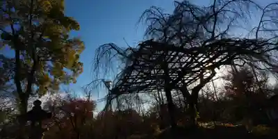 平野神社(京都府)
