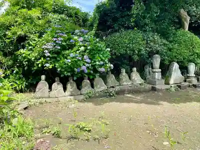 安養院　(田代寺）(神奈川県)