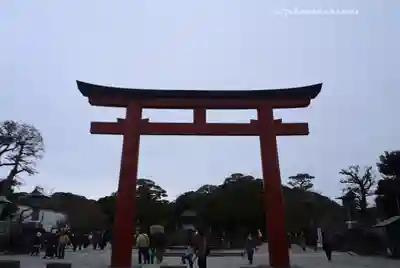 鶴岡八幡宮(神奈川県)