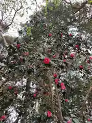 息栖神社の自然