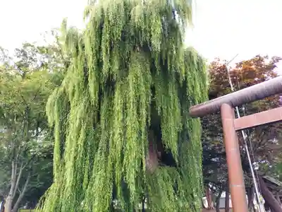 湧別神社(北海道)