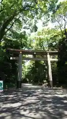 明治神宮の鳥居