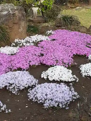 伏木香取神社の自然