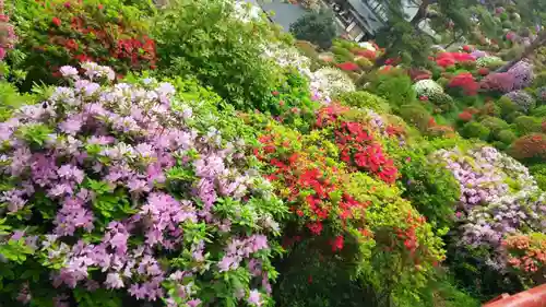 塩船観音寺の庭園