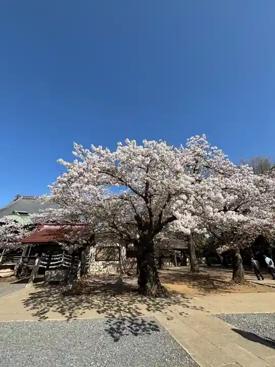 金蔵寺(千葉県)