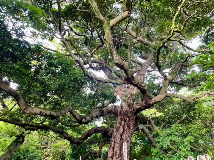 長生院(神奈川県)