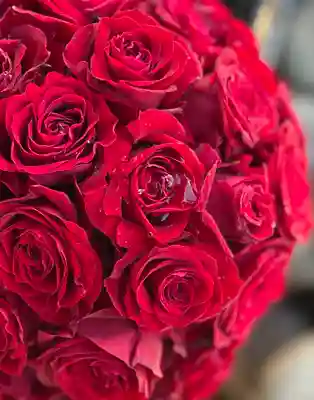 上尾御嶽神社の手水舎