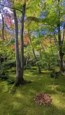 祇王寺(京都府)