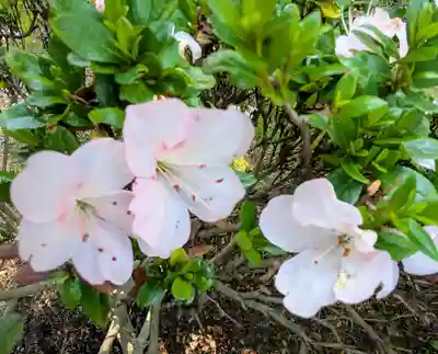 本輪西八幡神社(北海道)