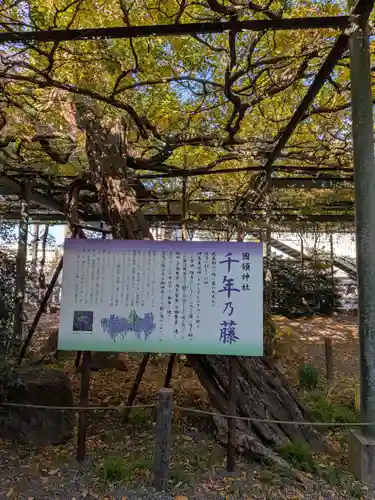 國領神社(東京都)