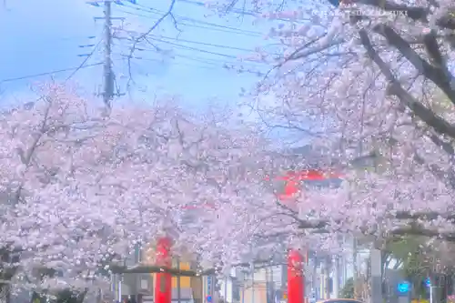 富士山本宮浅間大社(静岡県)